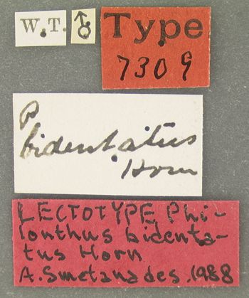 Media type: image;   Entomology 7309 Aspect: labels
